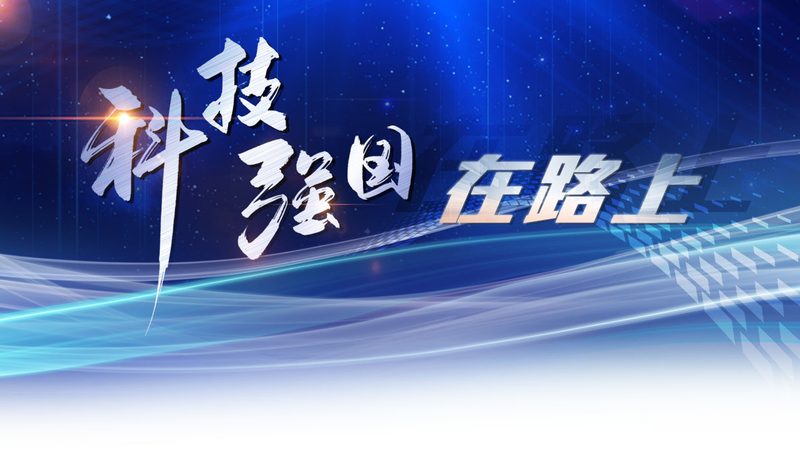 数据中台：企业数字化转型的中枢神经