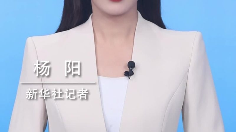 容器编排平台：揭秘十大品牌背后的技术奥秘**